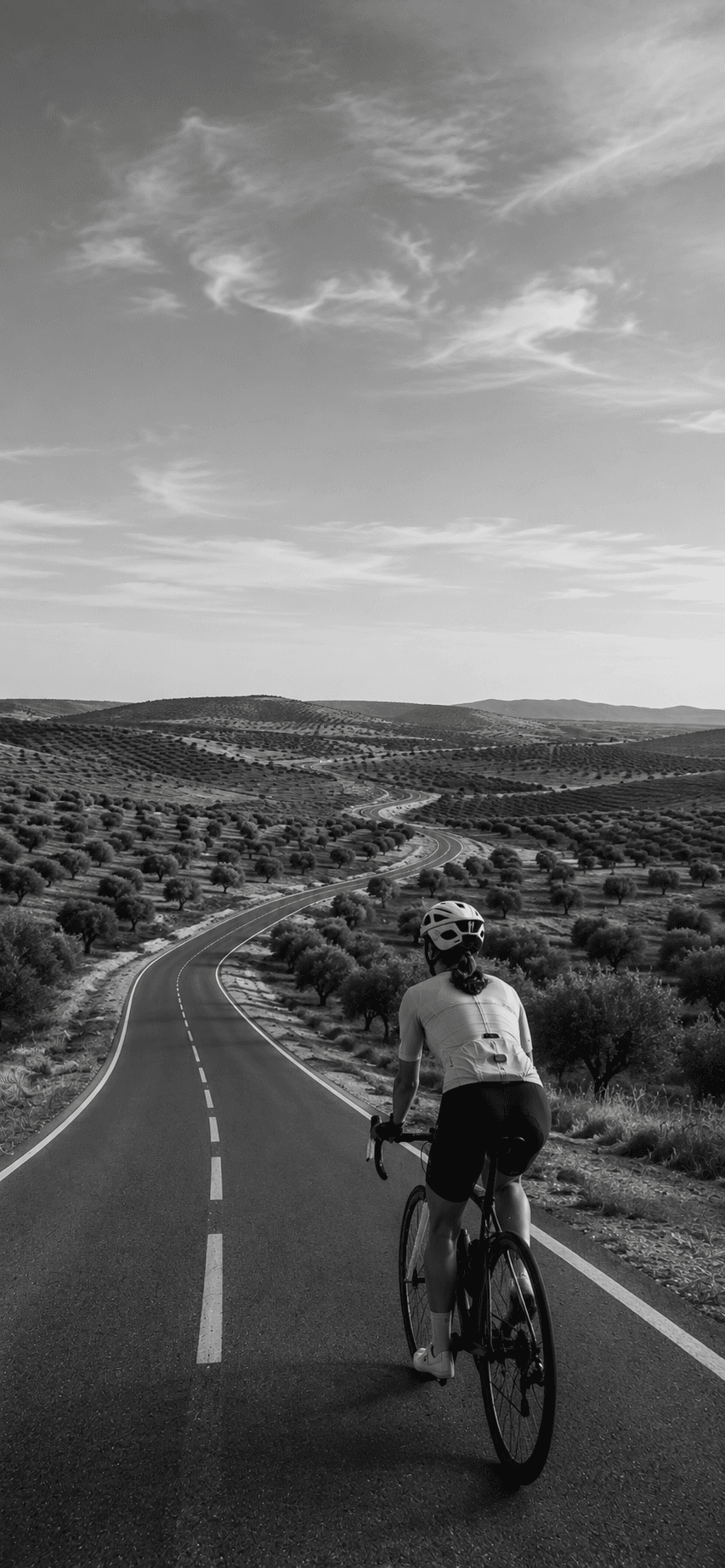 Ciclista en carretera